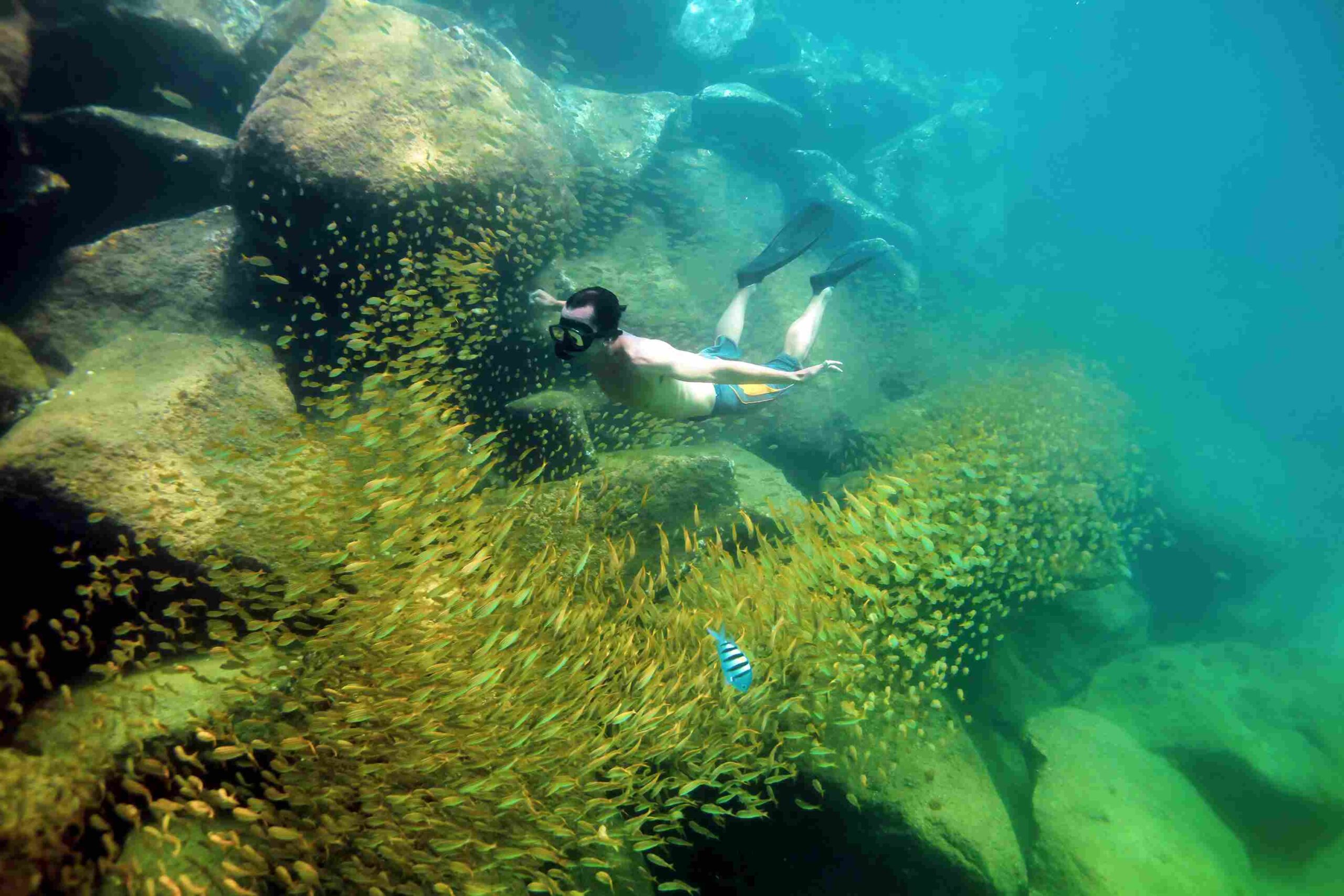 homem mergulhando em Fernando de Noronha