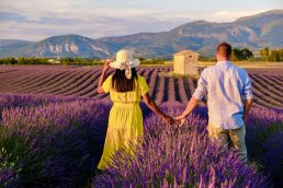 Casal em campos de lavanda de Provence